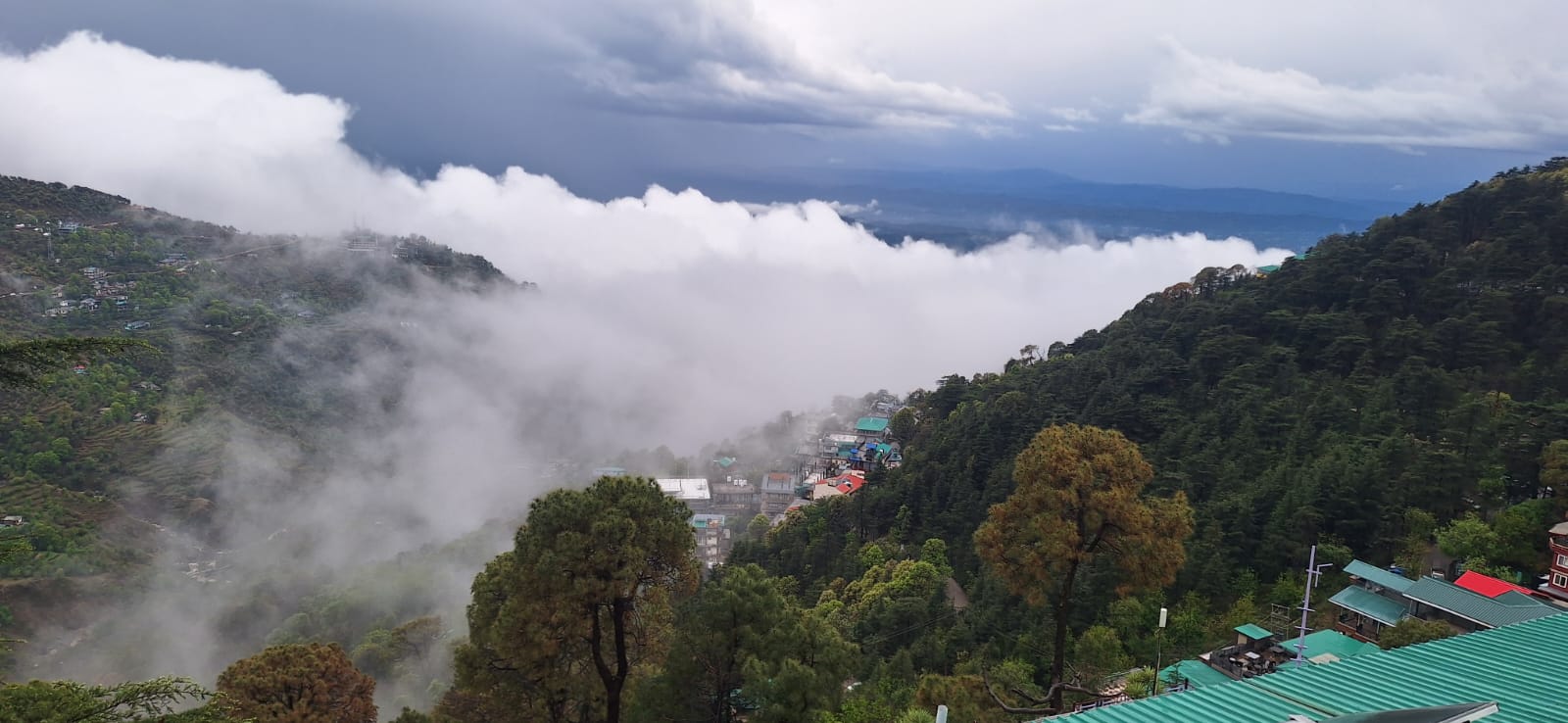 deodar villa