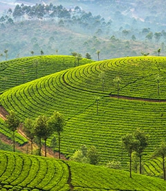 Munnar