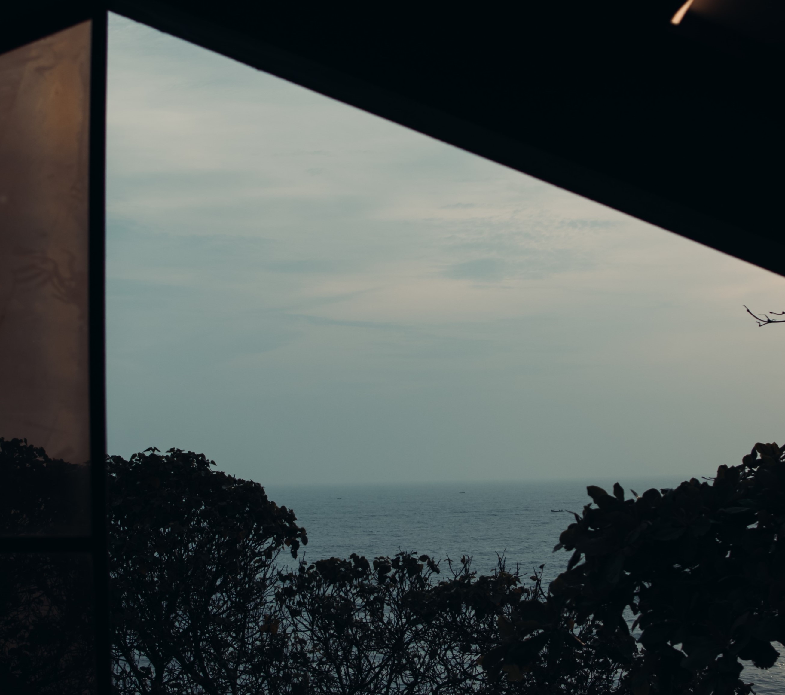 novella cafe
