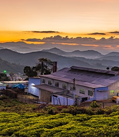 Ooty