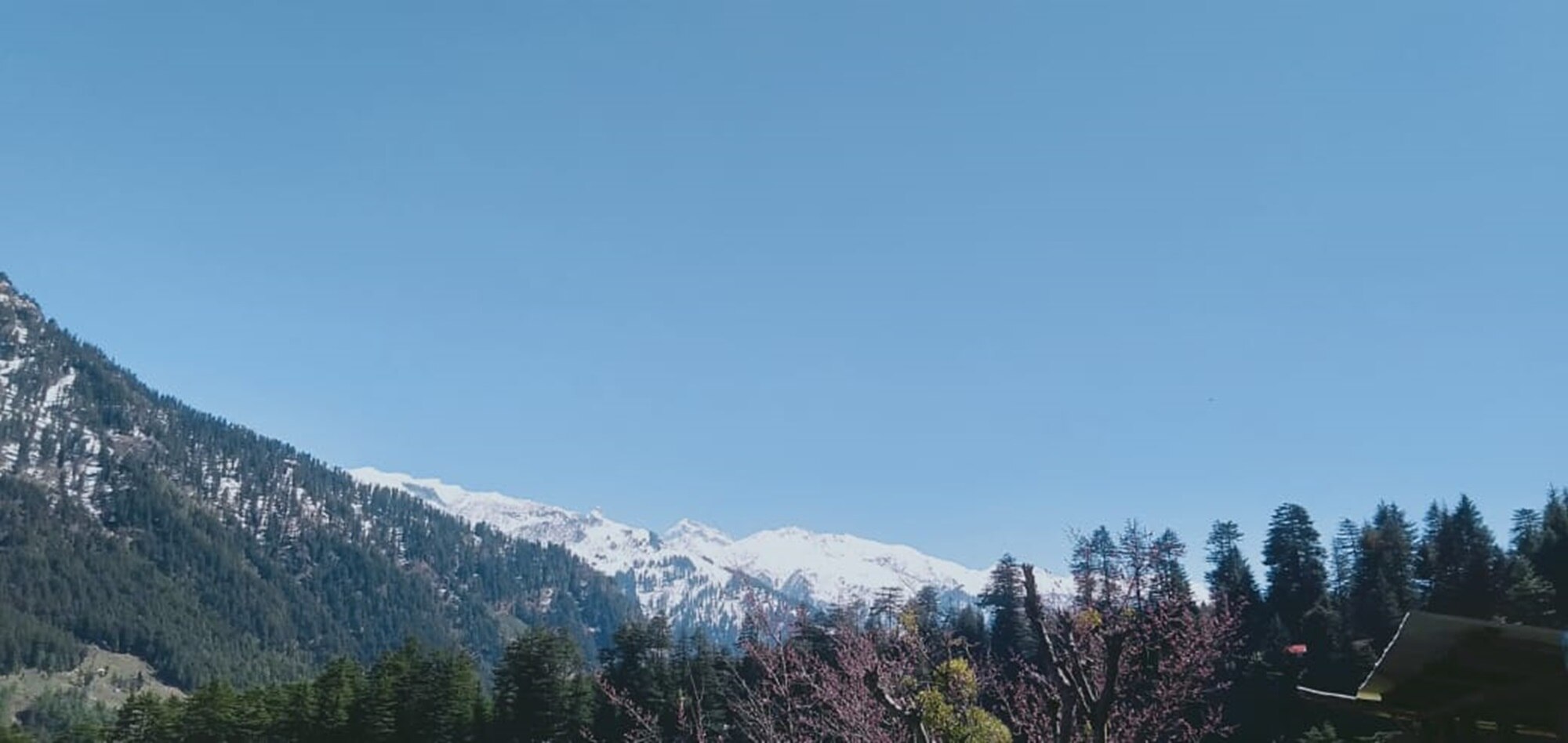 Maha Mountain Home 𝗕𝗢𝗢𝗞 Manali Cottage