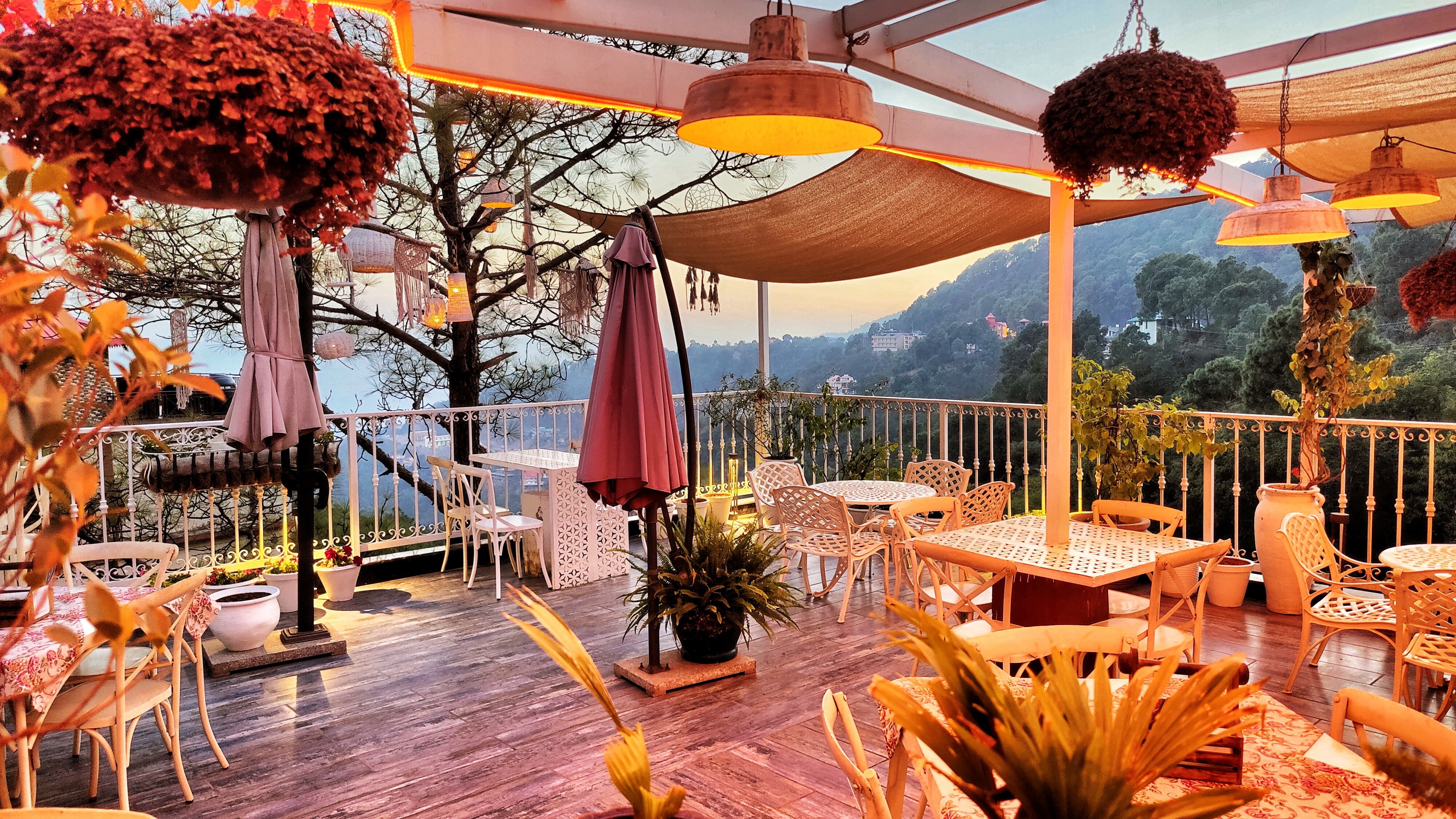 cafe olio