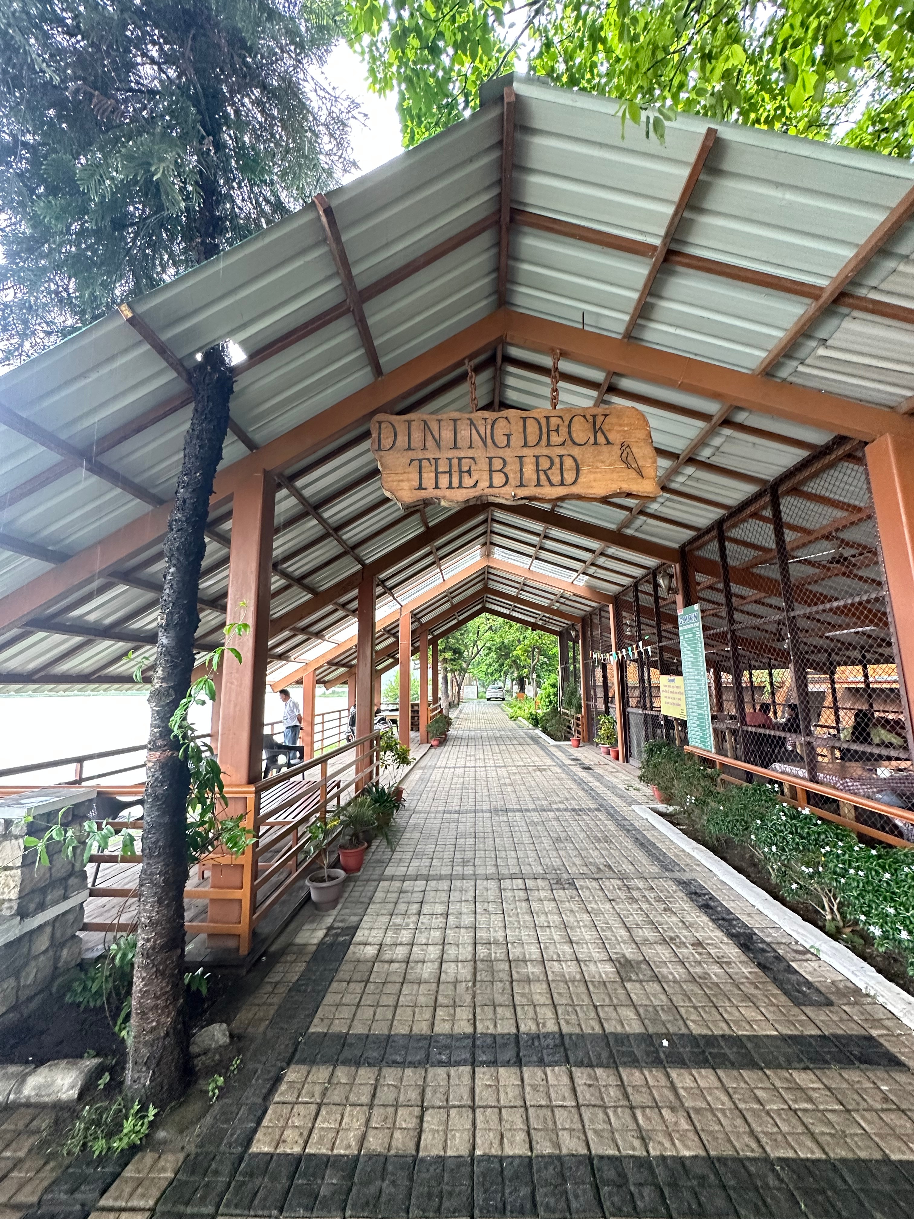 Dining Deck - The Bird