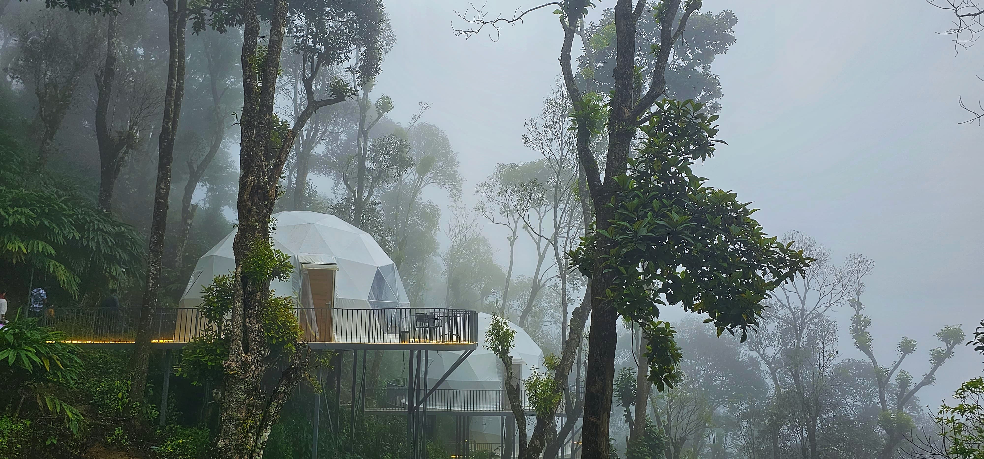 Willmount Resort | Premier Luxury Nature Glamps In The Western Ghats ...
