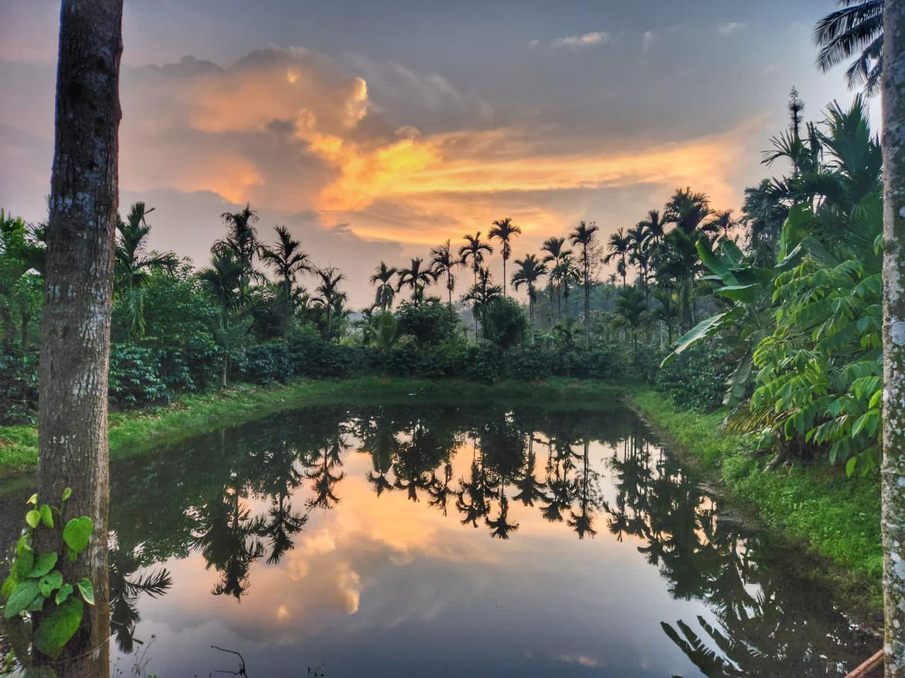 Address of Malgudi Home Hiddenvalley Stays - Homestay in Coorg