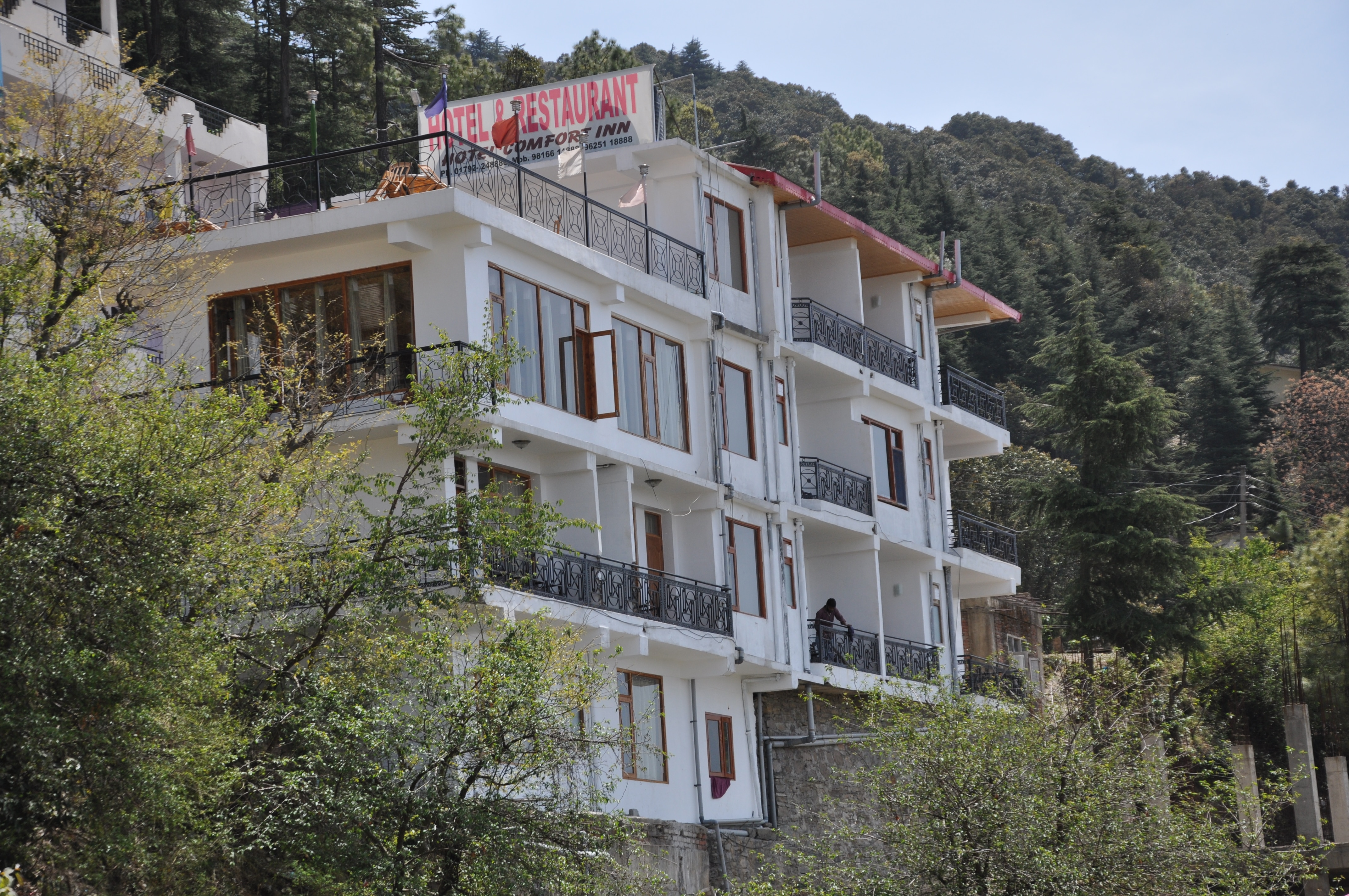 Comfort Inn Hotel Chail - Reviews, Photos & Offer