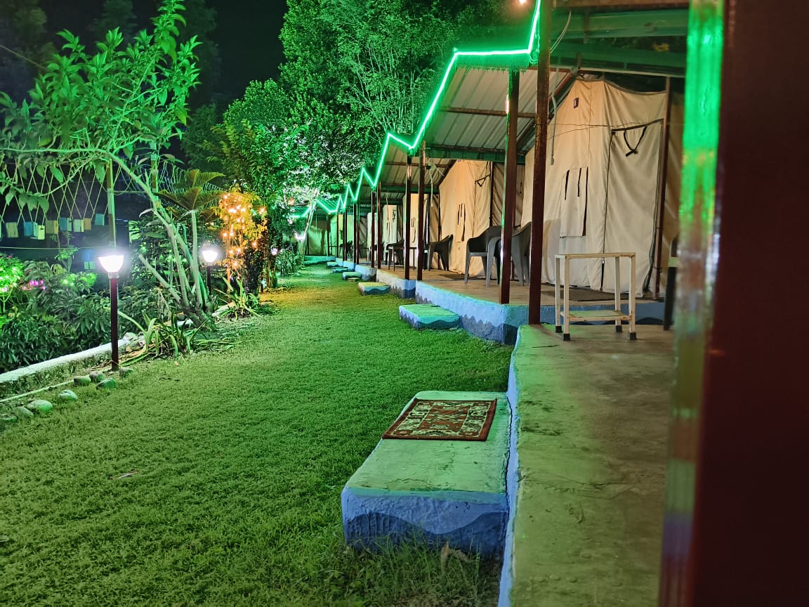 アート・デザイン・音楽 DOWN NORTH CAMP FUN ZINE MONJU DOWN NORTH