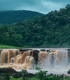 Saputara