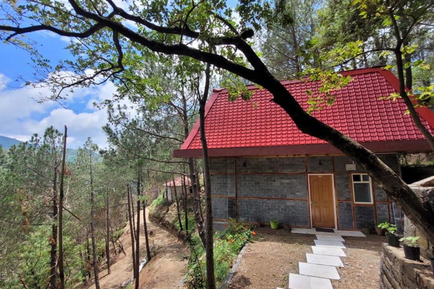 PINE WOOD NIRVANA 𝗕𝗢𝗢𝗞 Kandaghat Resort