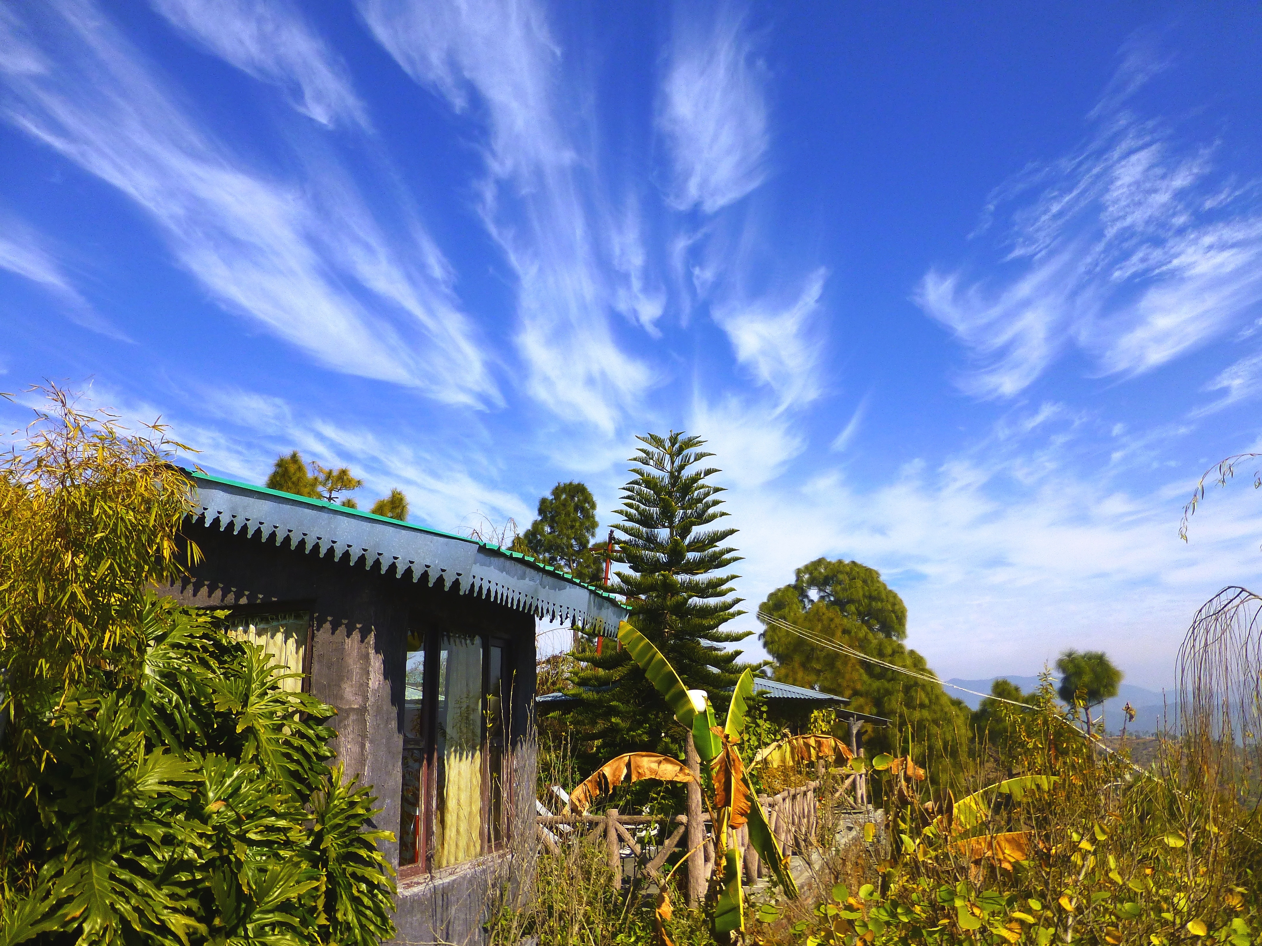 Mohan's Binsar Retreat - Tap to explore photos