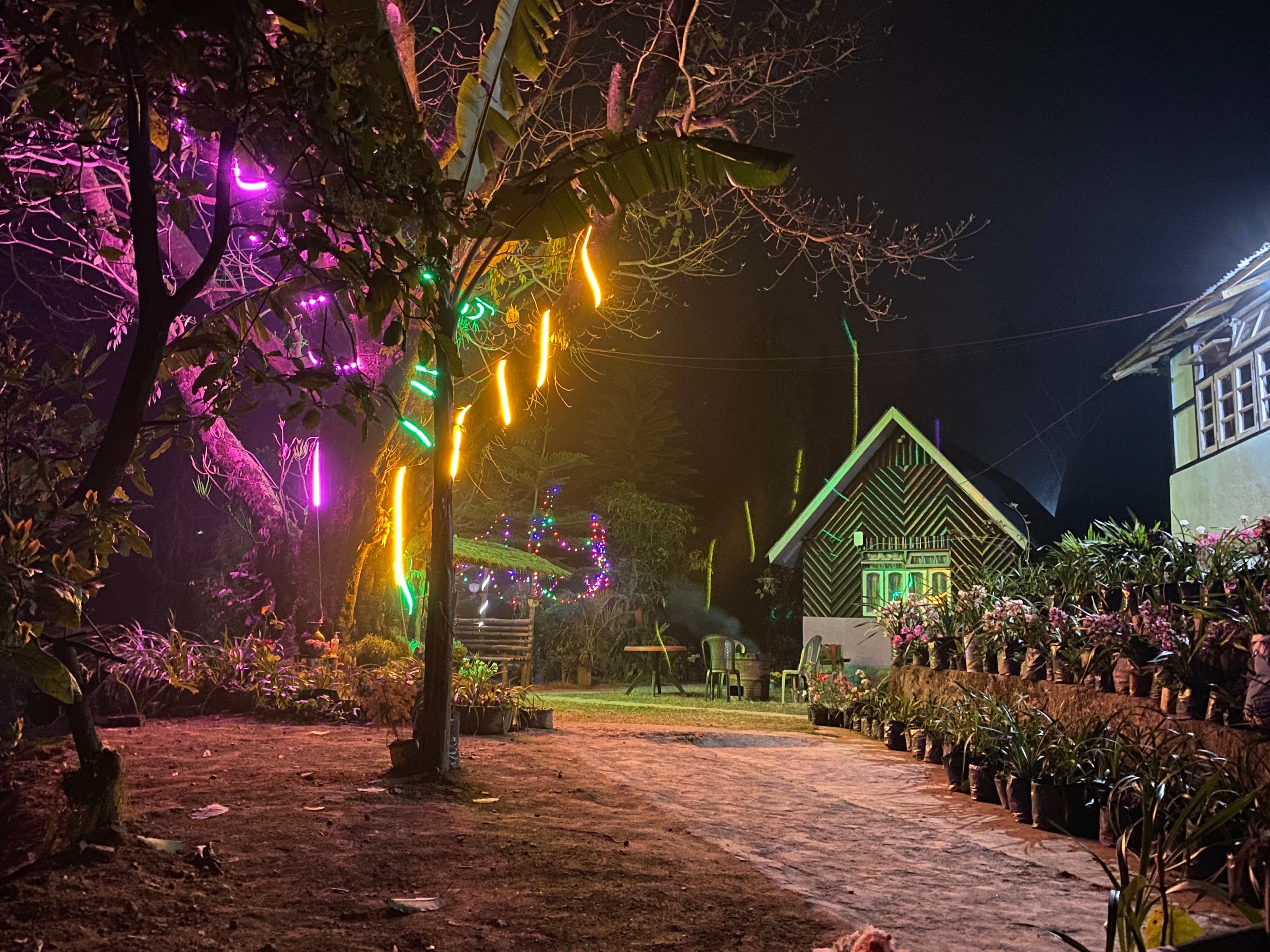 Kaffer homestay ( Shangdhan Pine Homestay) 𝗕𝗢𝗢𝗞 Kalimpong Cottage