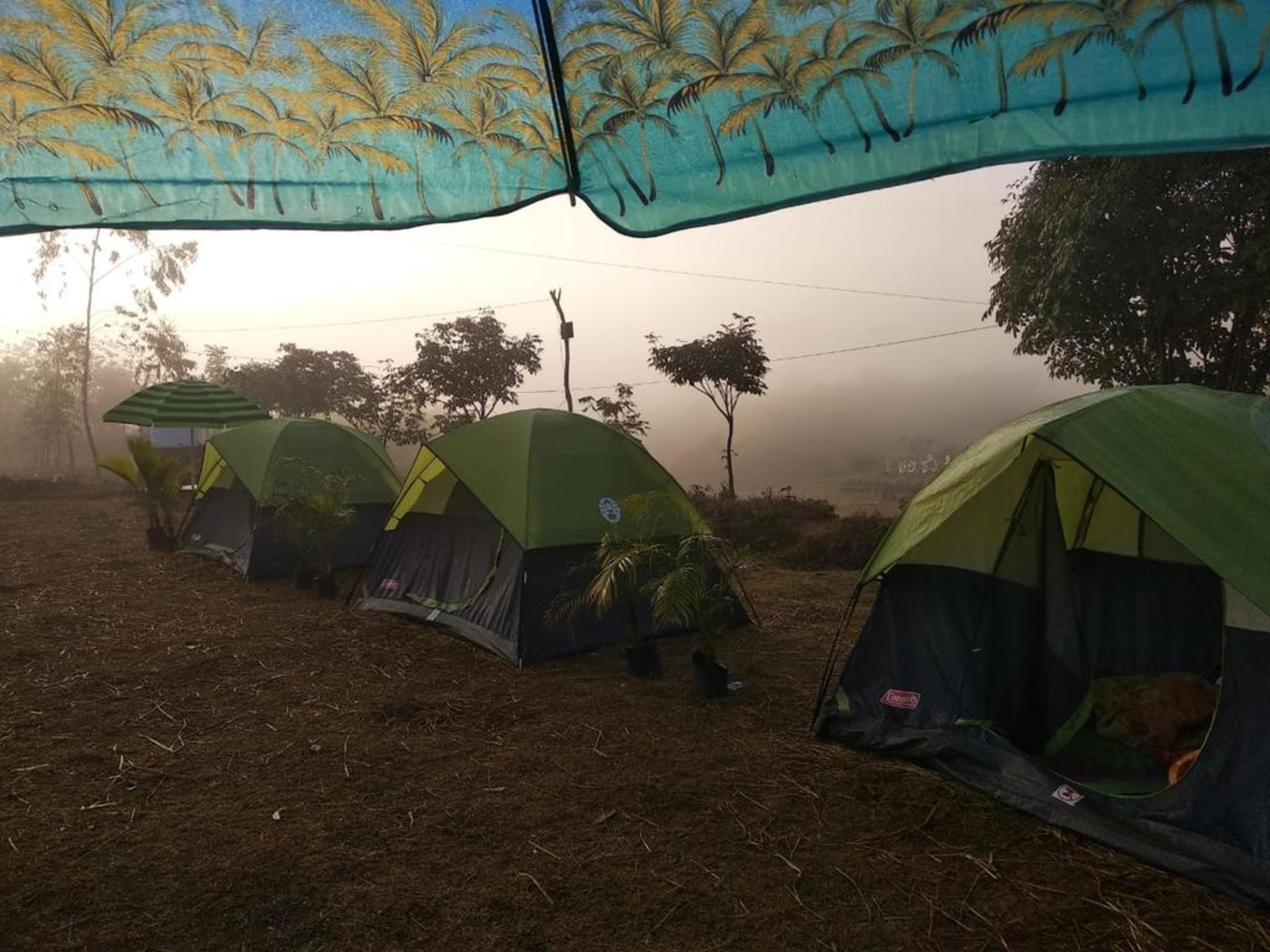 Jungle Camping Best Rates On Chintapalle Hotel Deals Reviews Photos