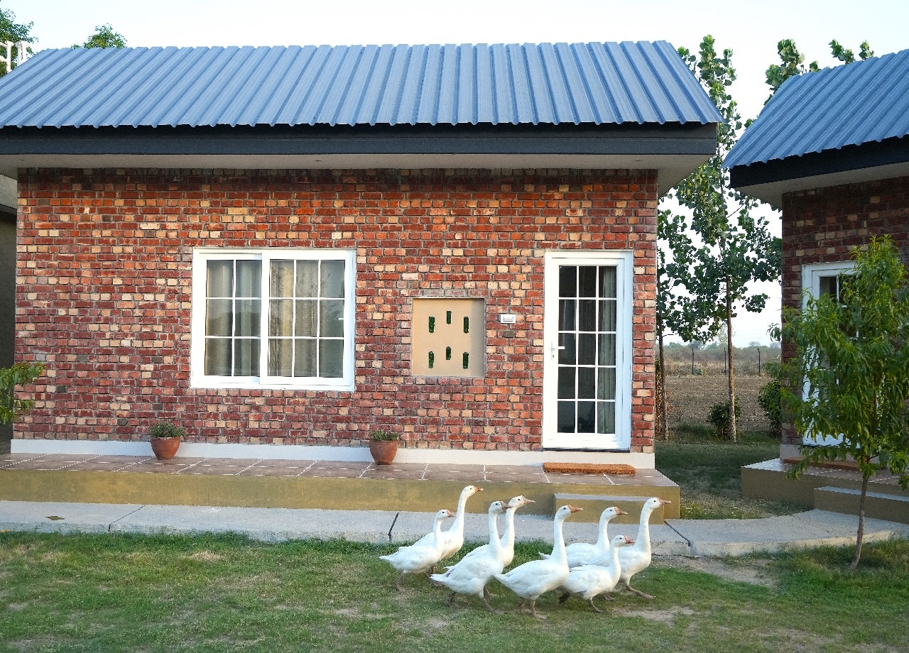 Rustic Roots Farm Stay 𝗕𝗢𝗢𝗞 Amritsar Homestay