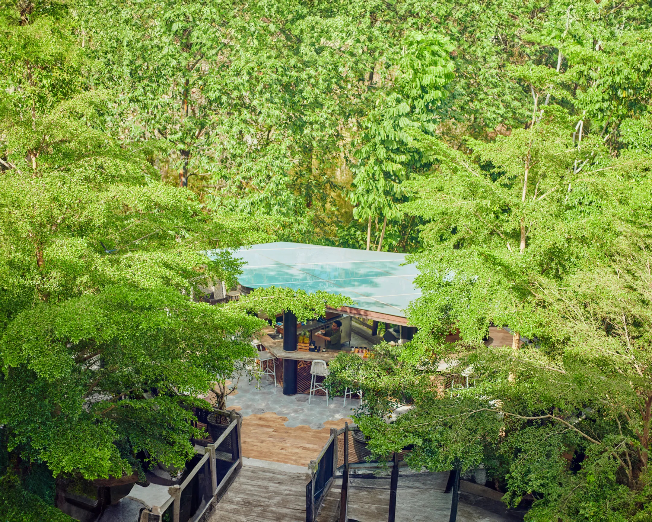 Forest Bar