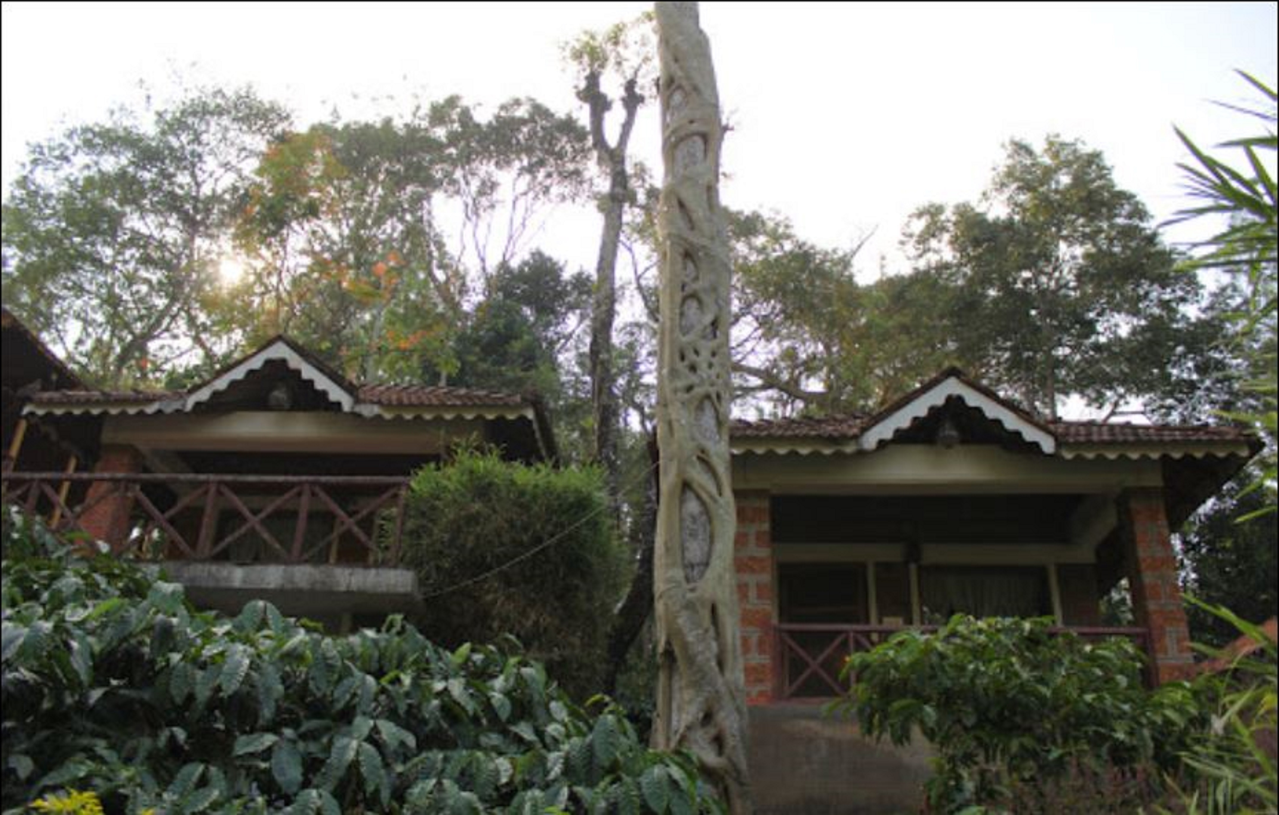 Forest Flower Homestay Rooms & Caretaker 𝗕𝗢𝗢𝗞 Homestay 𝘄𝗶𝘁𝗵
