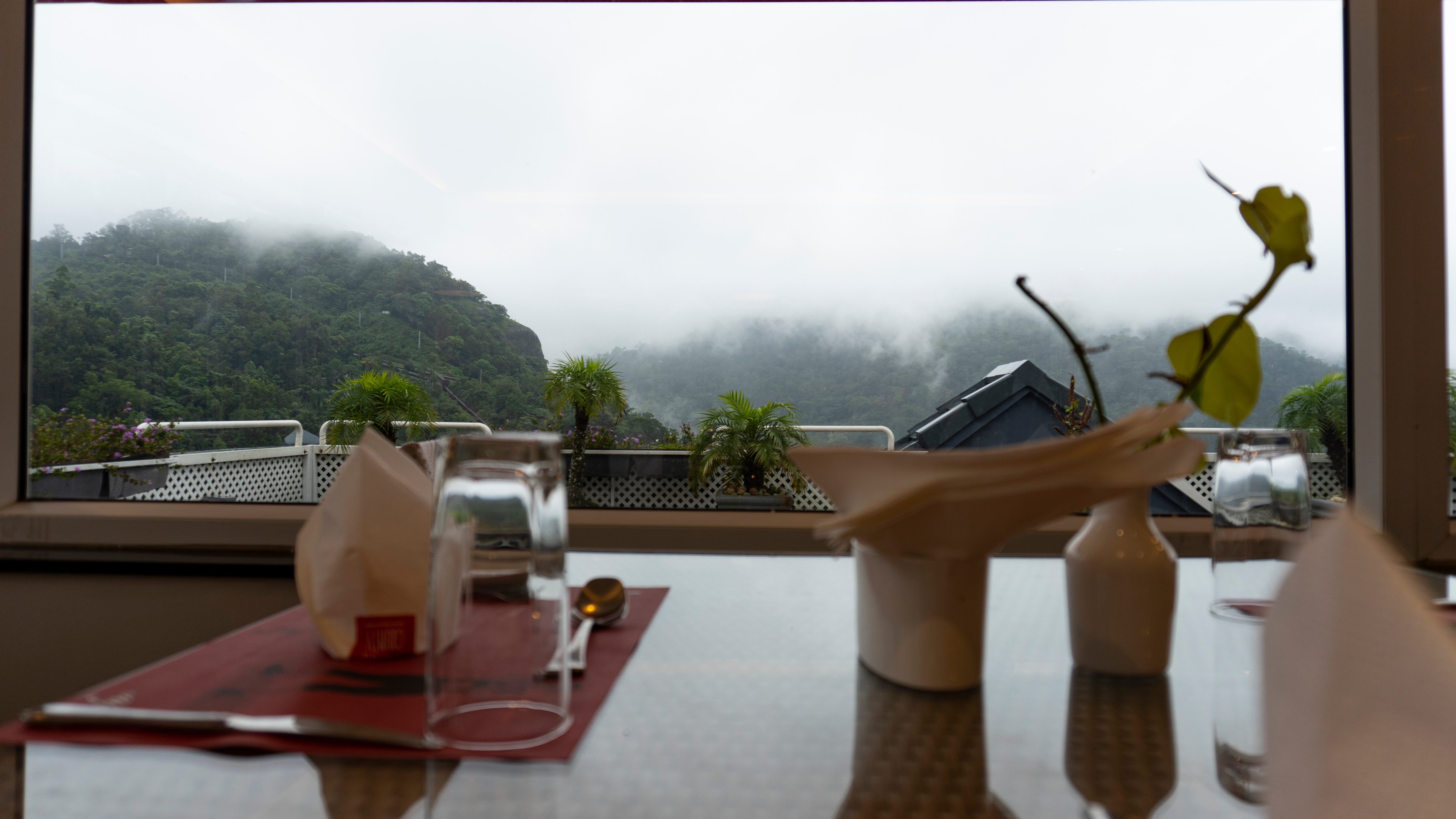 Alphorn Multi cosine Restaurant