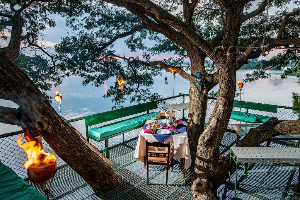 Tree House