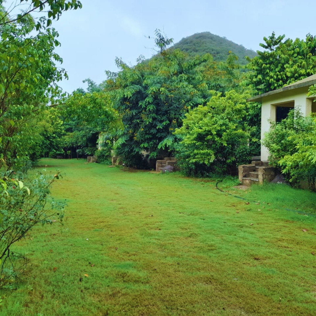 Sariska Jungle Camp 