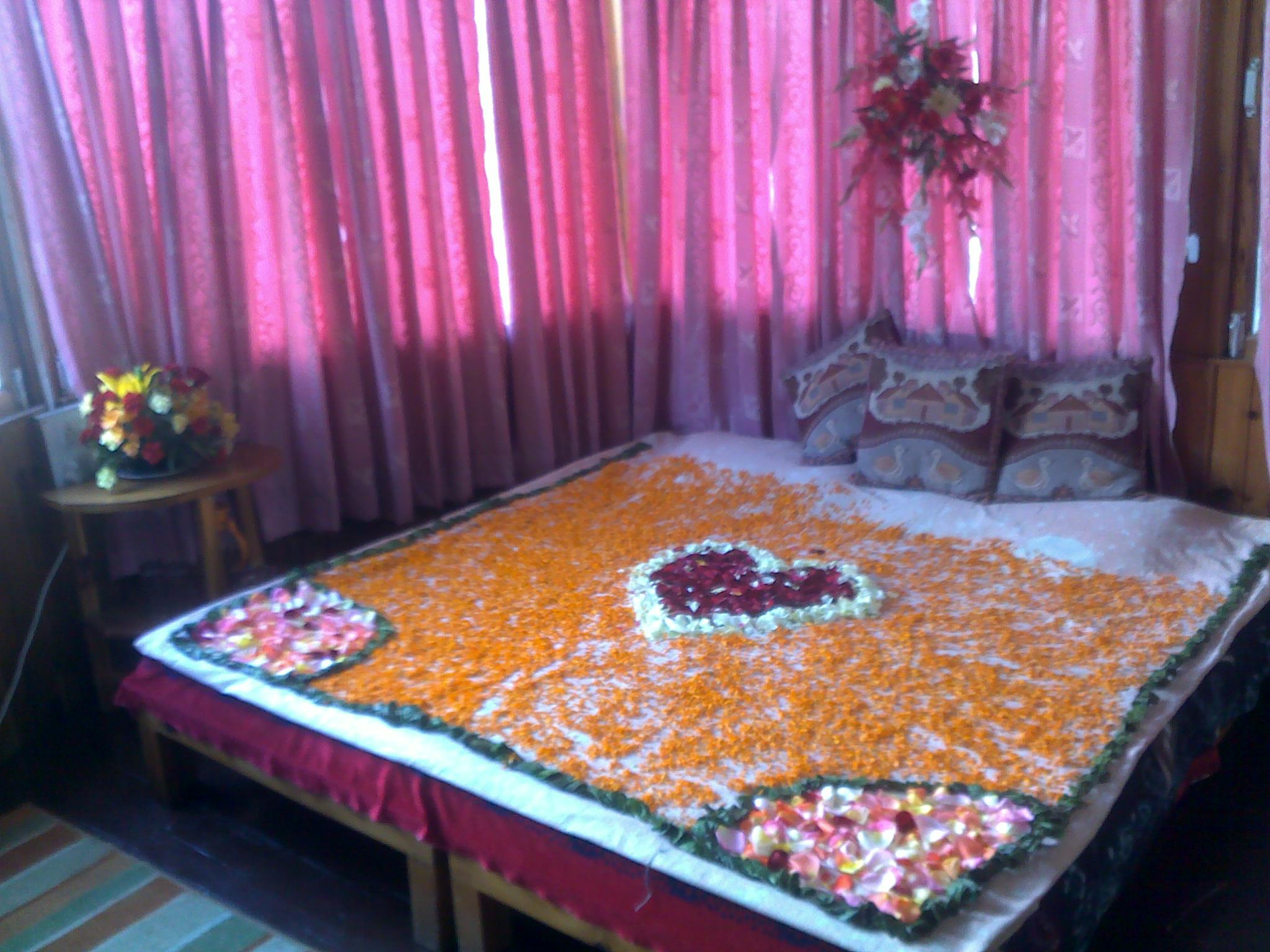 Tree house cottages, Manali Tree house cottages, Manali