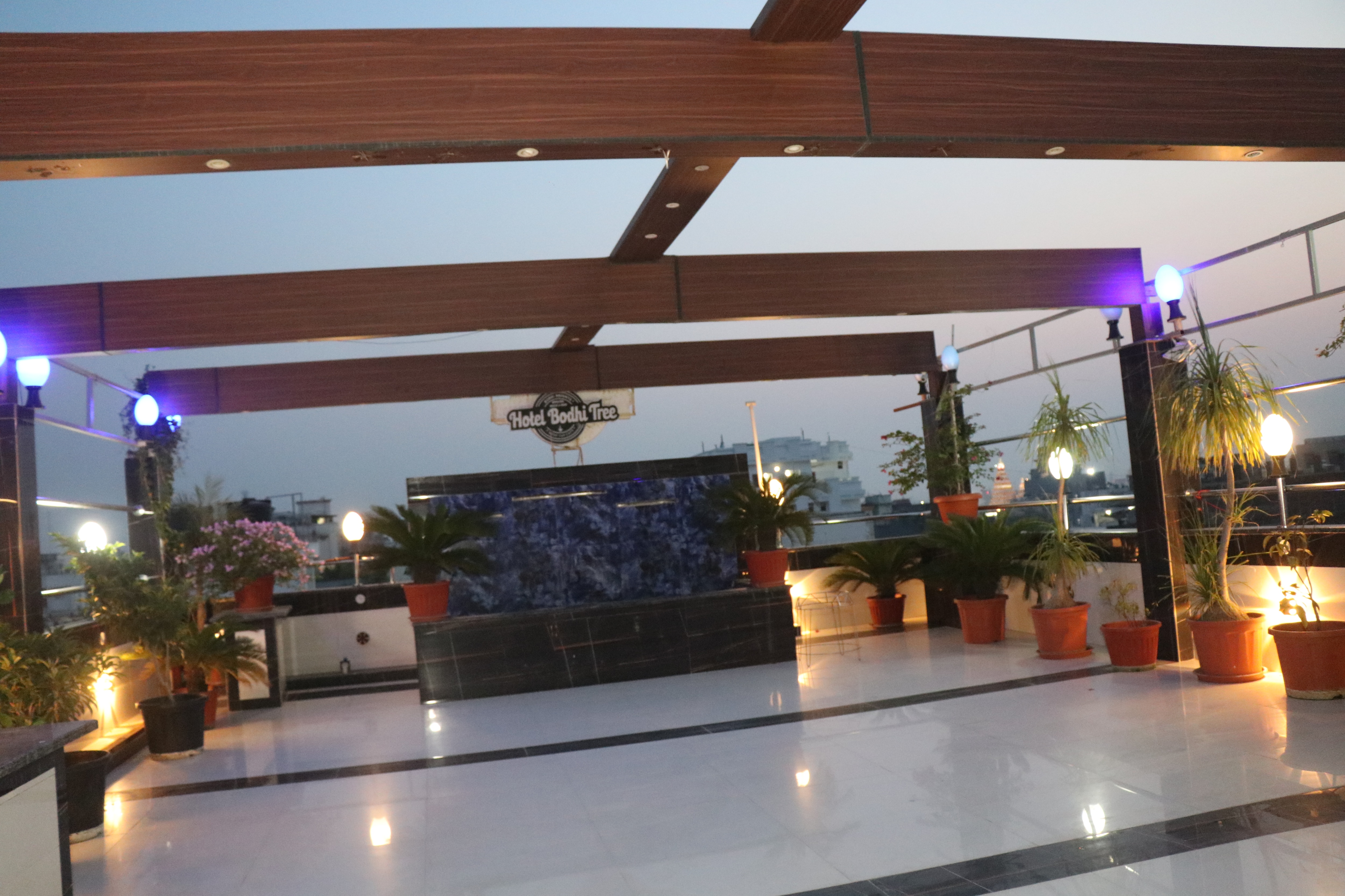 sTARRY NYTS CAFE'