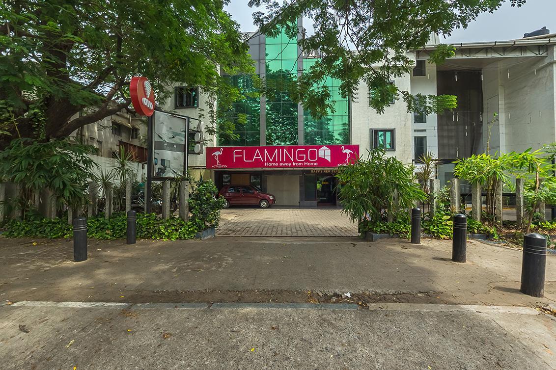 Flamingo, Chennai Flamingo, Chennai