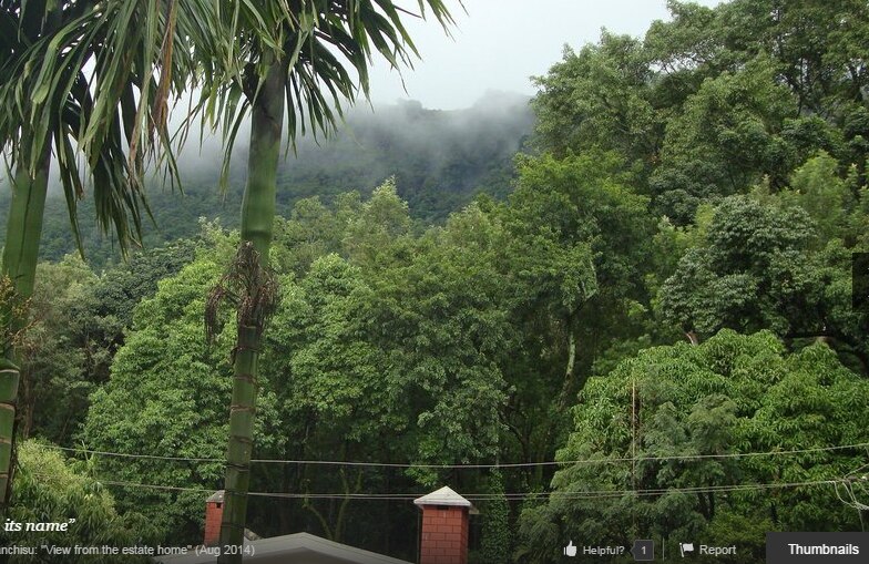 The Wildernest, Chikmagalur The Wildernest, Chikmagalur
