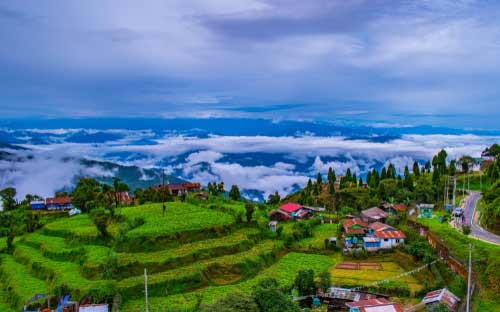 Darjeeling