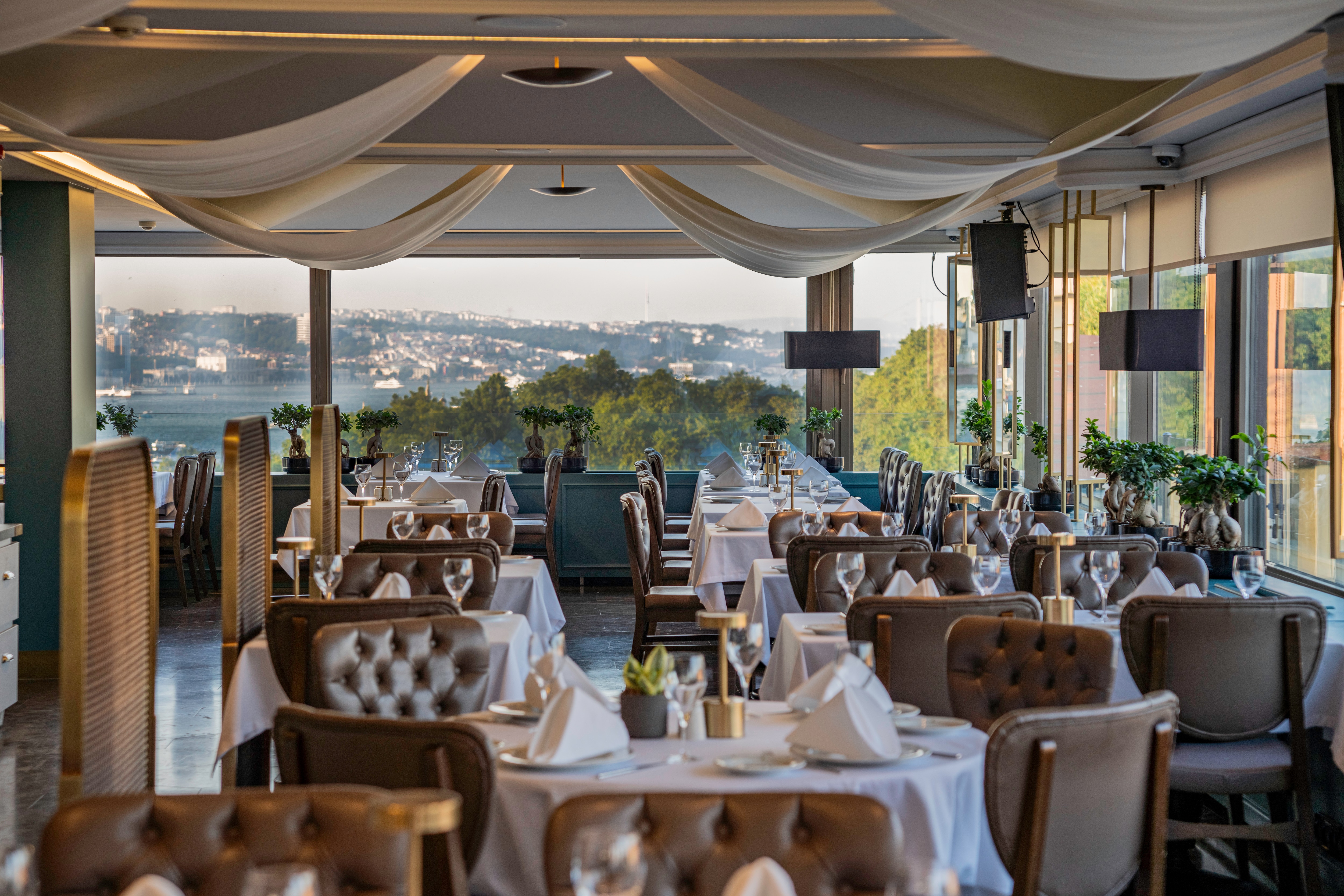 The Olive Anatolian