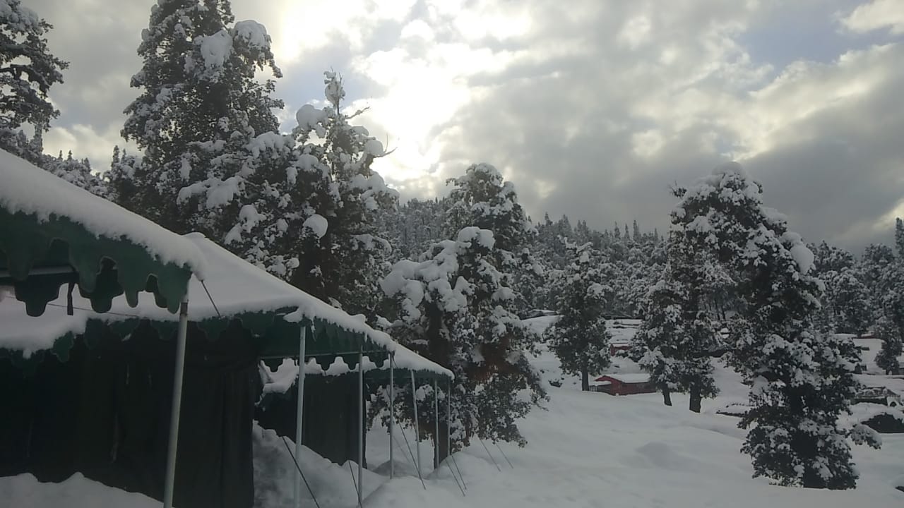 chopta tour package