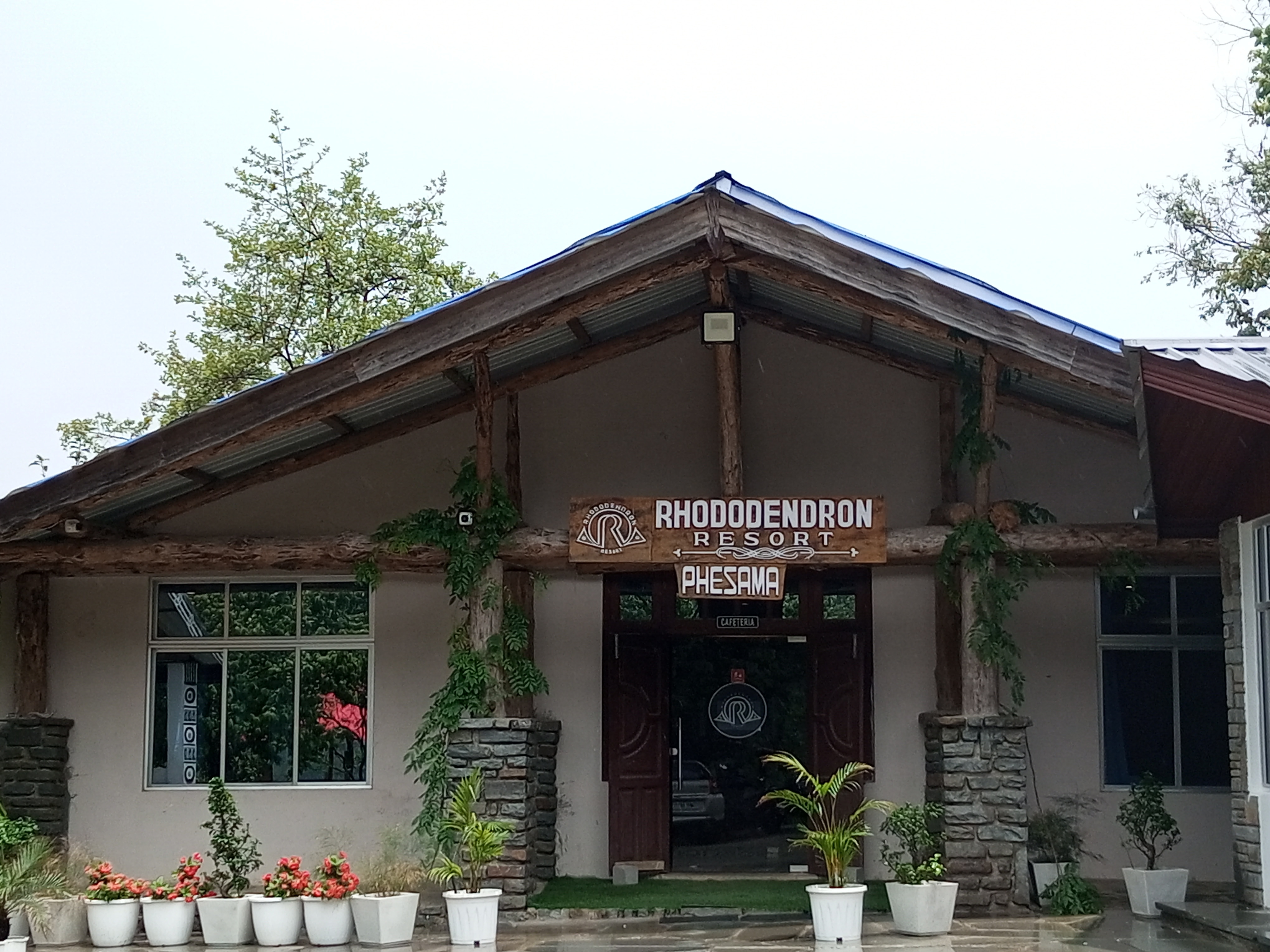 Rhododendron resort, phesama Kohima - Reviews, Photos & Offer