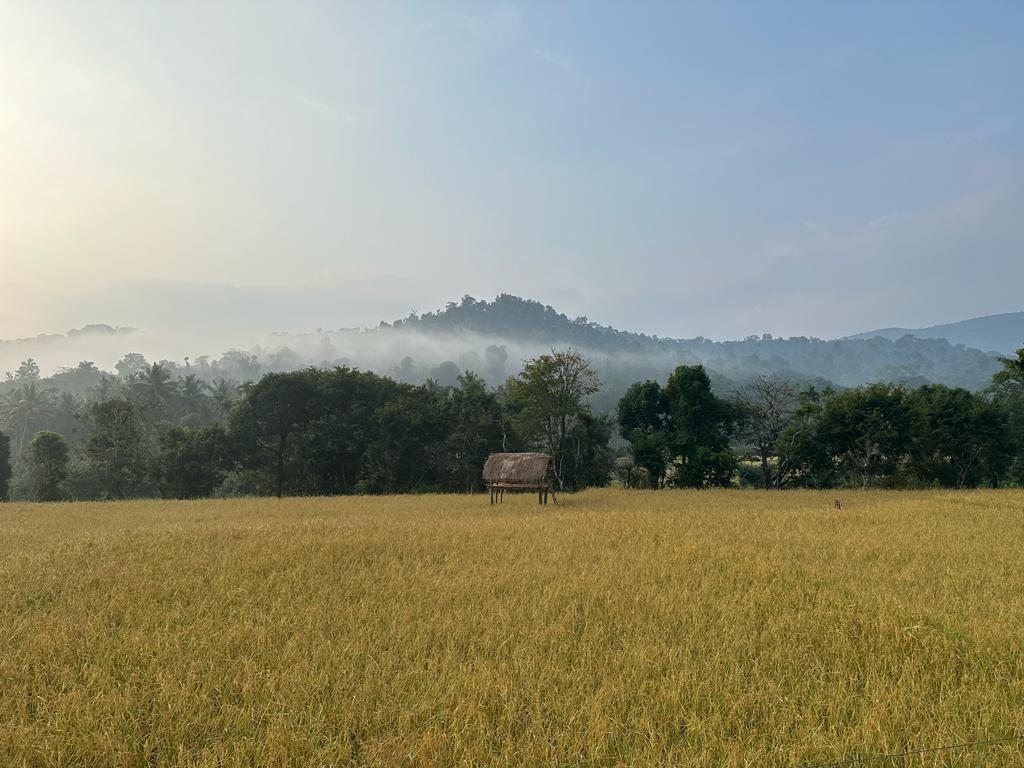 Wayanad Rural Area Rustic Wild Wayanad 𝗕𝗢𝗢𝗞 Wayanad Homestay
