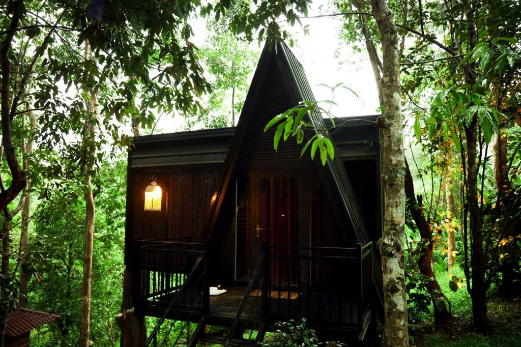 Rooms of Ranches Jungle Beats Resorts - Resort in Wayanad