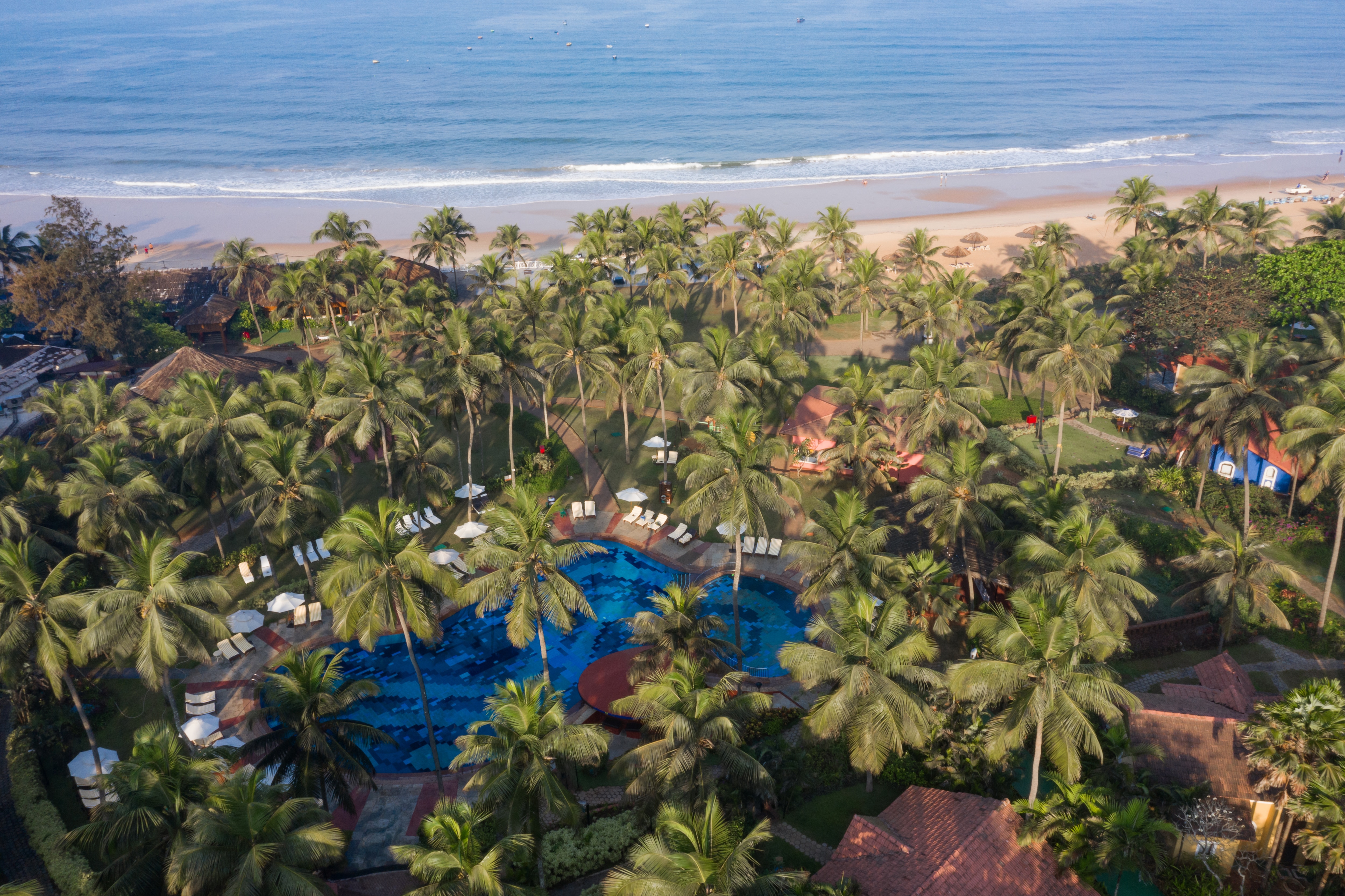 Banyan Tree