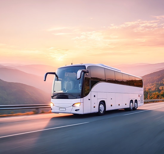 Bus