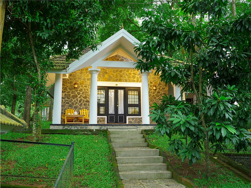 Hotel Treetop Thekkady INR 699 OFF ( ̶2̶4̶9̶9̶ ) 𝐏𝐡𝐨𝐭𝐨𝐬 & 𝐑𝐞𝐯𝐢𝐞𝐰𝐬