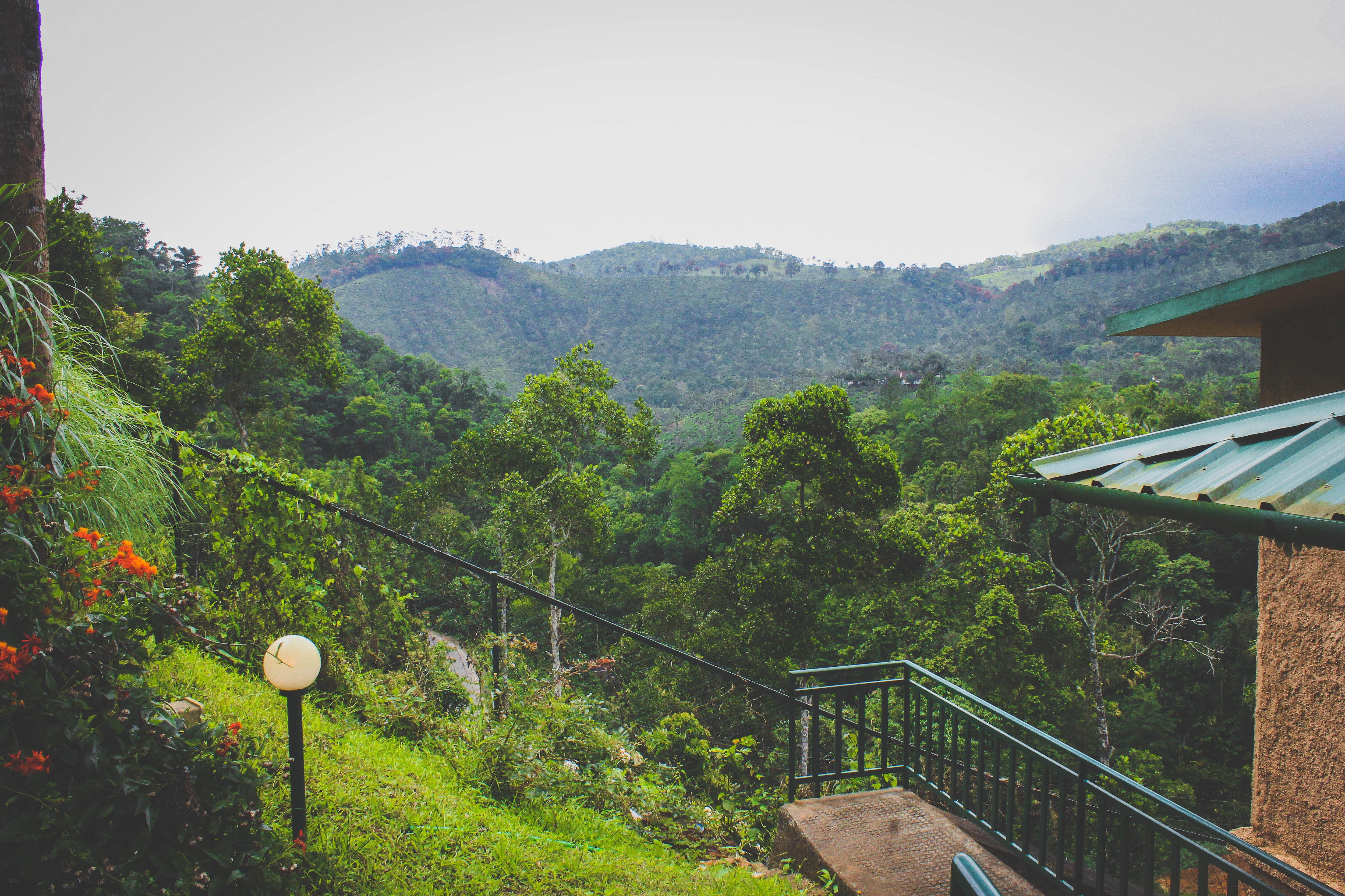 T Dew, Thekkady T Dew, Thekkady