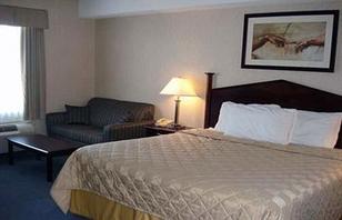 Comfort Inn Mississauga Brampton Reviews Photos Offers
