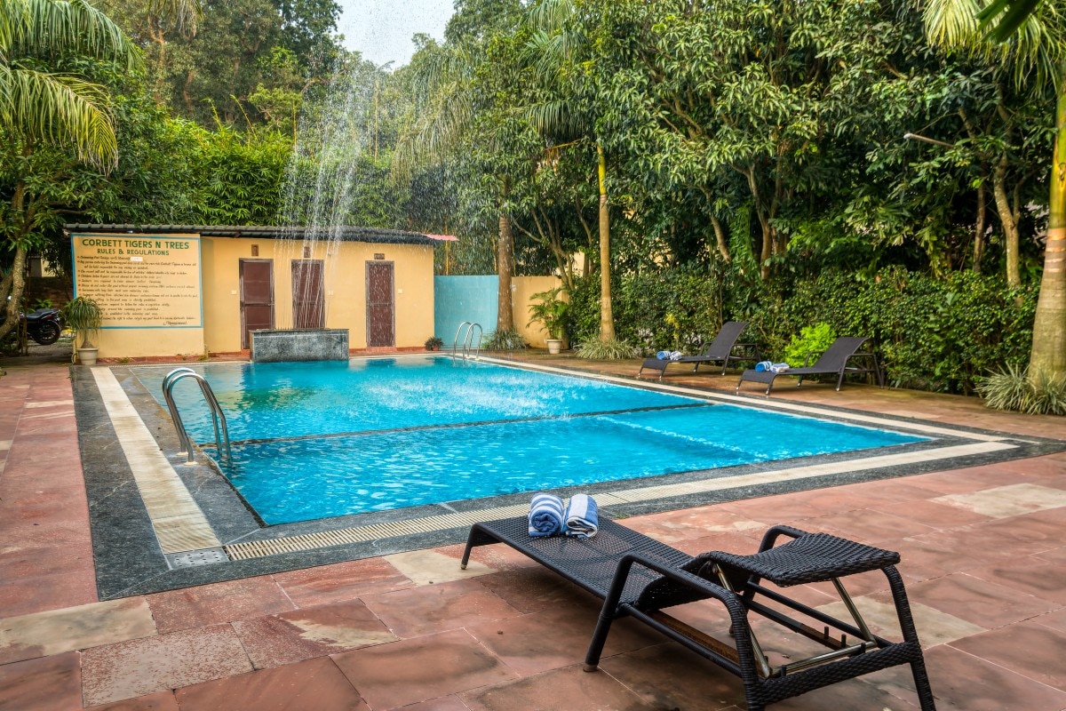 Corbett Tigers n Trees 𝗕𝗢𝗢𝗞 Jim Corbett (Ramnagar) Resort