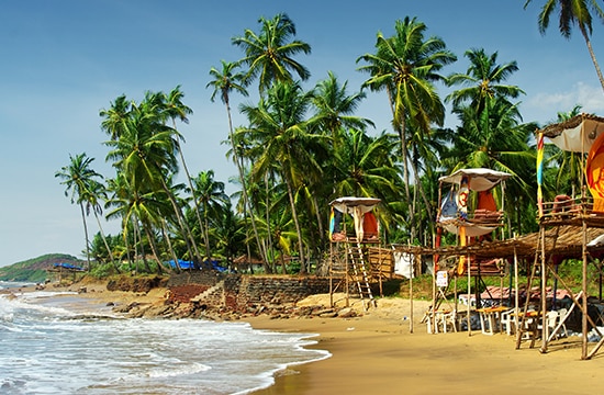 Domestic Hotels