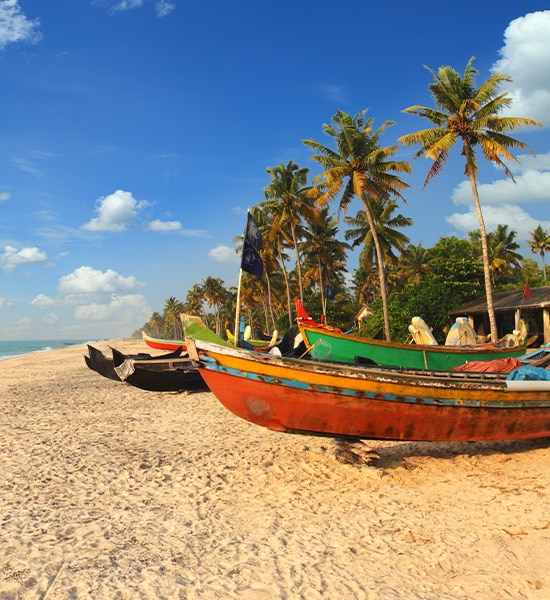 Goa