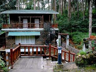 Greenspaces Munnar - Pothamedu, Munnar