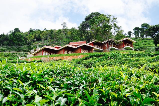 Hanging Huts Resorts - Coonoor Road, Ooty
