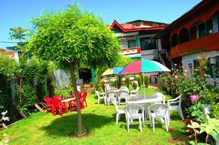 Hotels In Srinagar Book 1044 With Upto 50 Off 238 Hotel New Green View I