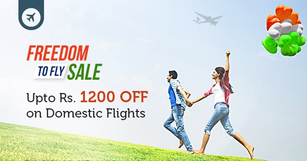 Fly High with FREEDOM