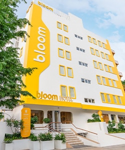Domestic Hotels