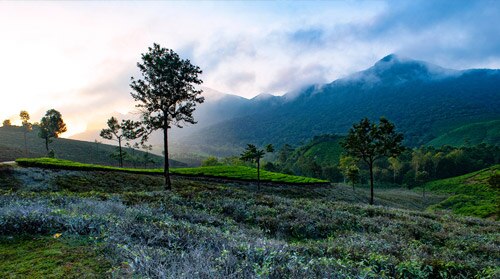 Munnar