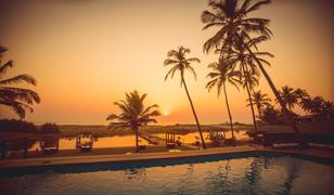 105 Hotels Near Arambol Beach Goa Book Now At 150 Goibibo Riva Beach Resort Goa