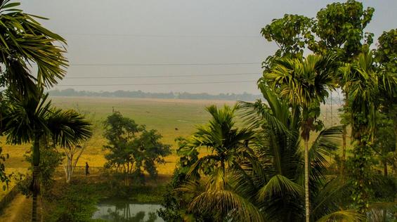 Sarmah Lodge - National Highway 37, Golaghat