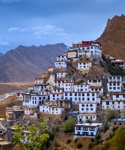 Domestic Hotels