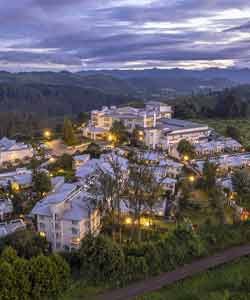 Domestic Hotels